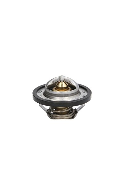 Thermotec Car thermostat, Nissan TERRANO (D10)