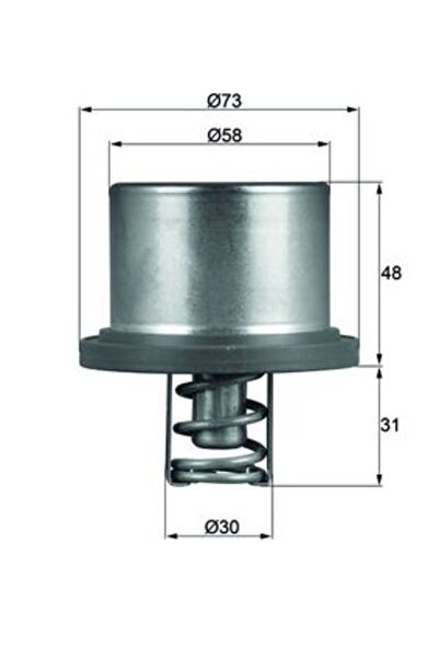 MAHLE Car thermostat, Porsche CAYENNE (9PA)