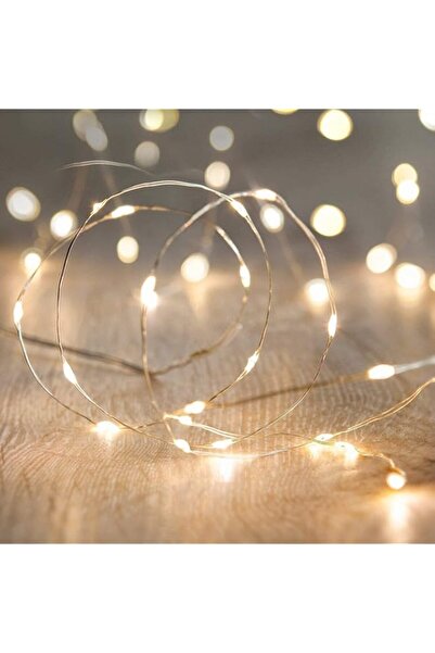 Generic Brand LED Firefly String Lights Garden Home Party Wedding Festival De...