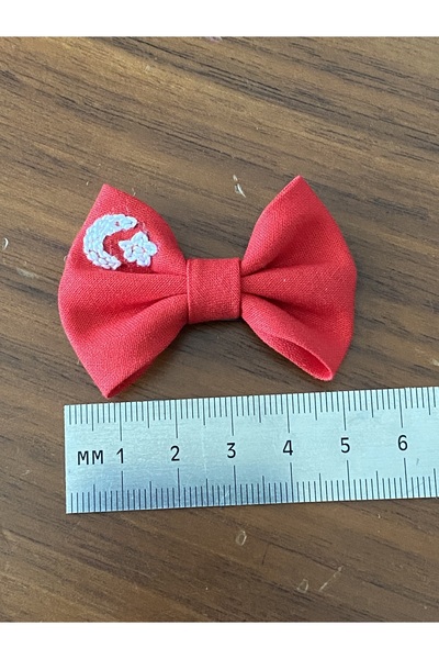 EGOMİ Ayyıldız Embroidered Hairless Baby Hair Clip (1 Piece)