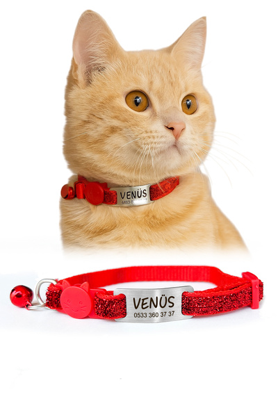 dekoliva Parlak Sim Desenli Safety Click Sallanmayan Kedi Tasması Metal Isiml...