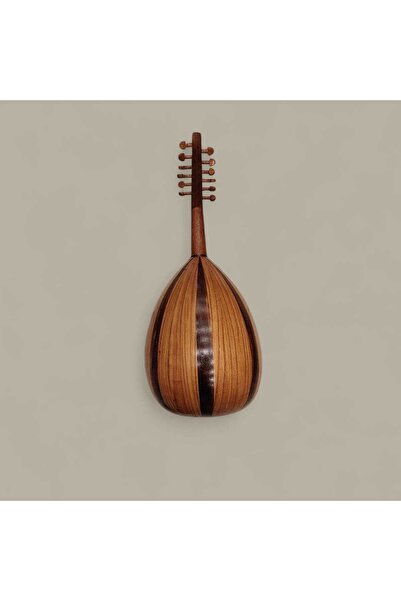 Unbraded عود تعليمي