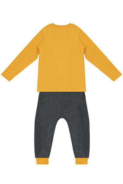 Denokids Boy's Dinos PaTTErnEd Cool T-Shirt and SwEaTpanTs SET