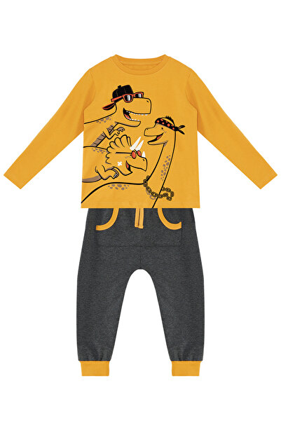 Denokids Boy's Dinos PaTTErnEd Cool T-Shirt and SwEaTpanTs SET