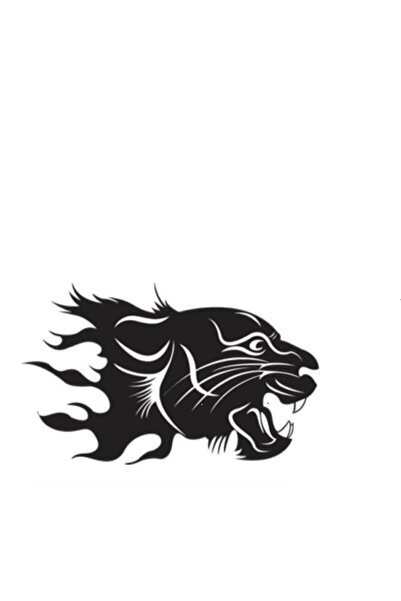 habune Kaplan Sticker Araba Uyumlu Kamyon Traktör Sricker Oto Sticker 40 cm 4...