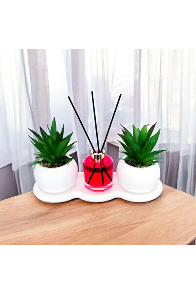 Netsepeti Beton Saksıda Yapay Sukulent Set Bambu Çubuklu 100 ml Oda Kokusu Beton Tabak, Organizer