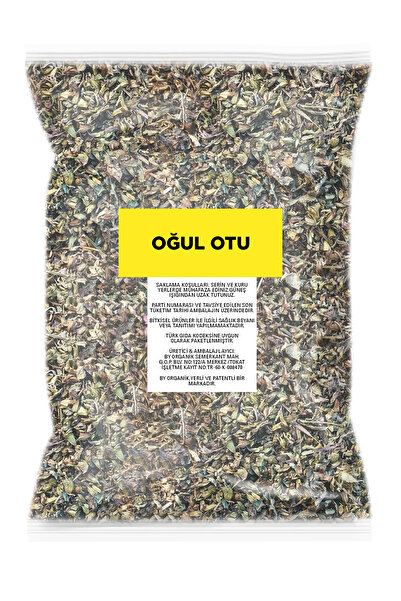 BY ORGANİK عشبة الابن 1 كيلو