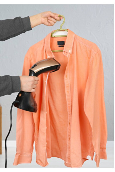 Zilan Vertical Steam Iron