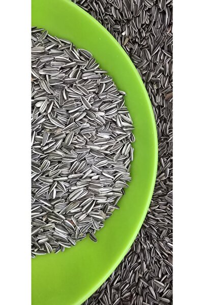 Ankara Yem Evi Sultan Papağanı Cennet Papağanı Çekirdeği 1 Kg