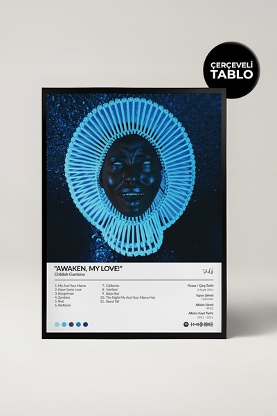 House Gorgeous Childish Gambino Awaken... Çerçeveli Albüm Tasarımlı Müzik Tablo