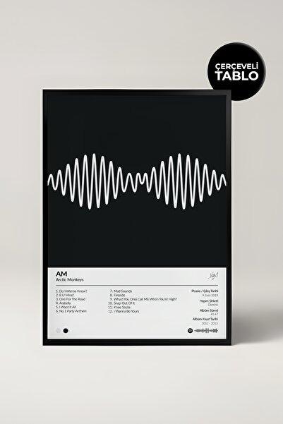 House Gorgeous Arctic Monkeys A.m Albümü Çerçeveli Albüm Tasarımlı Tablo