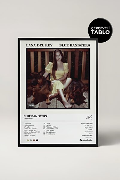 House Gorgeous Lana Del Rey Blue Banisters Albümü Çerçeve Albüm Tasarımlı Spo...