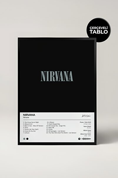 House Gorgeous Nirvana Nirvana album dizajniran kao Spotify poster slika