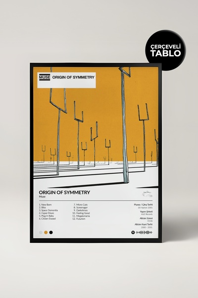 House Gorgeous Muse Origin Of Symmetry Tablou muzical cu design de album înrămat