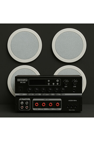 FNIRSI Luxury, Üst Segment 6 hoparlör 1 Anfi Mağaza Ses Sistemi, Kafe Ses Sis...