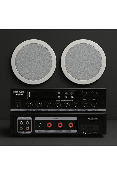 FNIRSI Luxury, Üst Segment 4 hoparlör 1 Anfi Mağaza Ses Sistemi, Kafe Ses Sis...