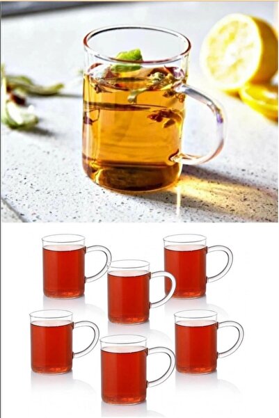 BÜYÜLÜ HOME 6'lı Termisil Ince Cam Kupa Bardağı Kulplu Fincan Bardak