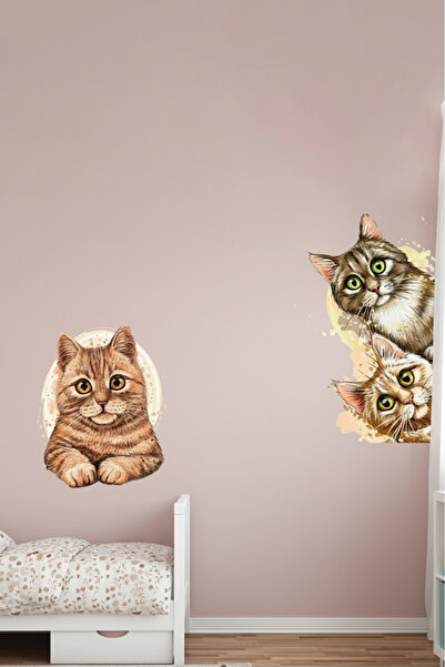 KT Decor Set zidnih nalepnica za dečiju i bebinu sobu - Moji cimeri K mačka er