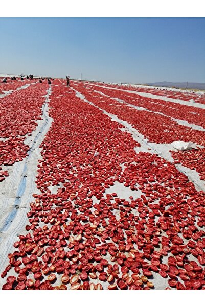 Genel Markalar 1 Kg Doğal Güneşte Kurutulmuş Domates Kurusu