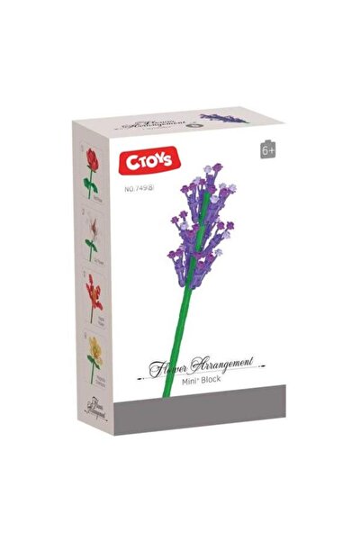 CToys Mini Lavender Block Flower Arrangement