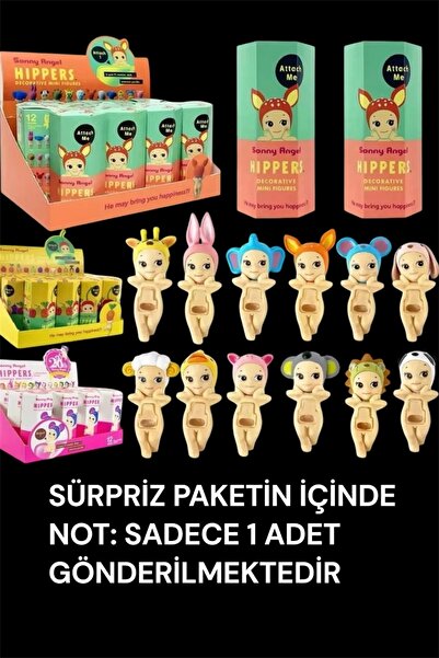 Zzla Sonny Angels Hippers Sürpriz Decorative Serisi Figürü 1 Adet