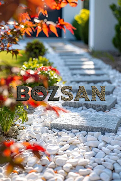 Bozsan Beyaz Dolomit Taş 5 Kg 4-6 Cm Dere Çakıl Taşı Bahçe Peyzaj Süs Taşı Saksı Teraryum Akvaryum Taş