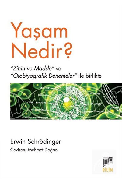 Pan Yayıncılık Yaşam Nedir ?