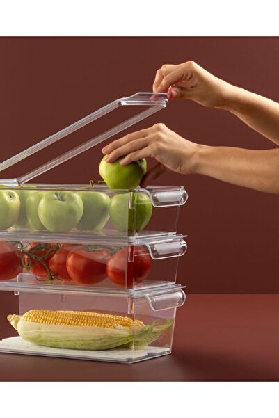 ELİFSU HOME 2-Pack 4.75 Liter Refrigerator & Cabinet Organizer with Lid