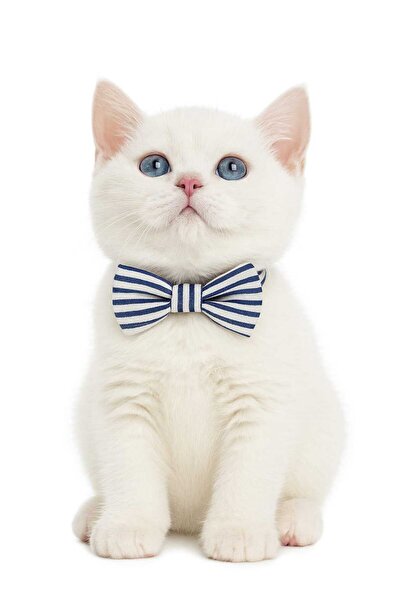 DodoJoy Cat Collar, 3-in-1 Cat Collar, Cat Collars with Bow Tie and Bowknot D...