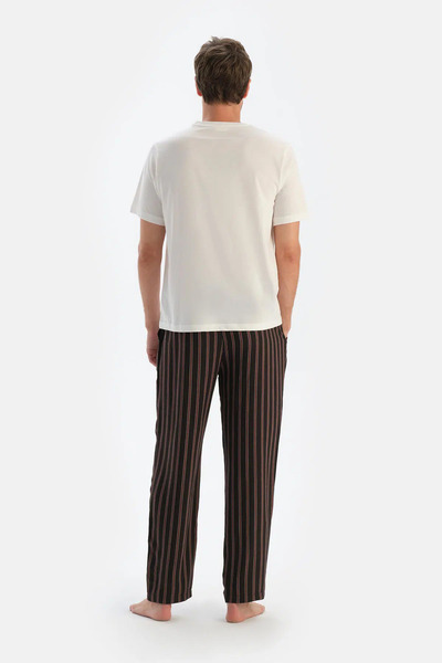 Dagi Viscose Brown Striped Trousers