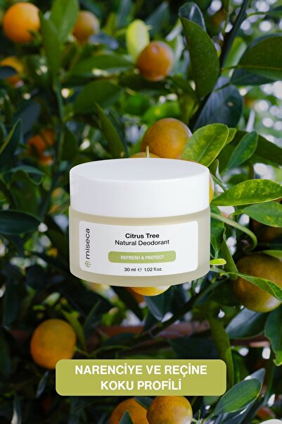 miseca Citrus Tree Doğal Krem Deodorant 30 ml | Limon Portakal Mür