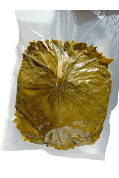 Genel Markalar Salamura Yaprak