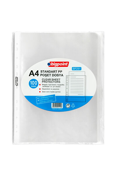 Bigpoint ملف حقيبة قياسي 40 ميكرون 100 عبوة