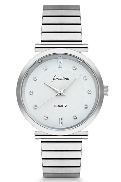 Forentina Gri Metal Kadın Kol Saati Ps1790