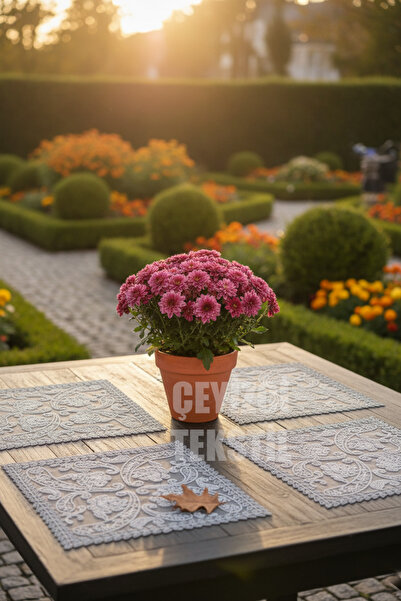 Çt Çeyizci Tekstil شاحن، شاحن تقديم أمريكي رمادي 6 قطع، شاحن 6 قطع، قاعدة طبق...