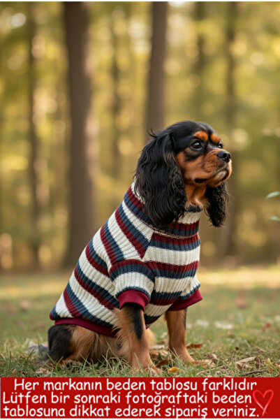 Barneystore Kedi Köpek Kalın Triko Boğazlı Kazak