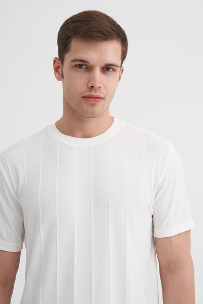 Cazador Regular Fit Crew Neck Thin Stripe T-Shirt