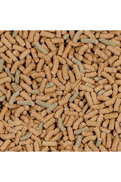 SERA Raffy P Nature 100 gr Su Kaplumbağası Yemi (KOVADAN)