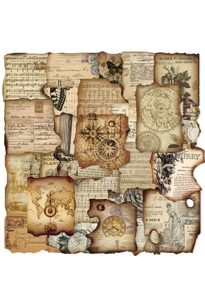 Choice الطراز C-100 قطعة 100 قطعة ملصقات جمالية عتيقة على شكل خريطة نباتية مل...