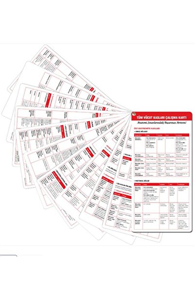 Güneş Tıp Kitabevleri Sobotta İnsan Anatomisi Atlası Seti 4 Cilt + Anatomi Cep Kartları Seti