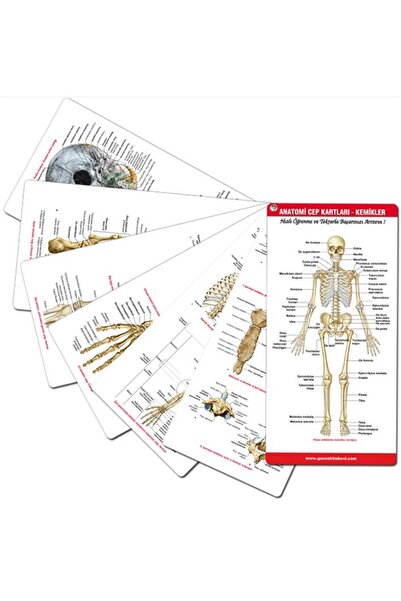 Güneş Tıp Kitabevleri Sobotta İnsan Anatomisi Atlası Seti 4 Cilt + Anatomi Cep Kartları Seti