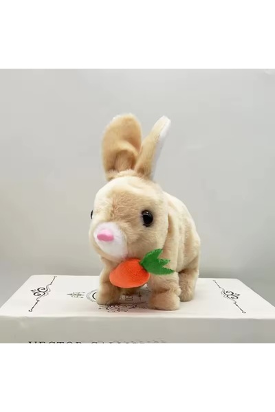 GenelTedarik PİLLİ SESLİ VE IŞIKLI ZIPLAYAN TAVŞAN