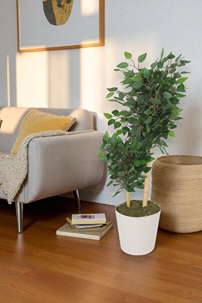 MH MiniHediye Yapay Ficus Benjamin Ağacı – Dolgun Yeşil Yapraklı, Ev ve Ofis ...