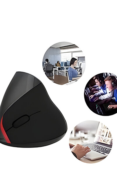 Datastar Dikey Ergonomik Kablosuz Mouse