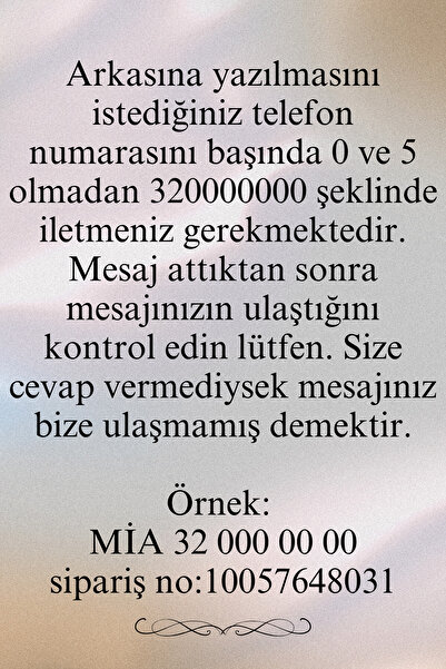 Loren İsme Özel Çelik Kedi Köpek Tasma Künyesi Gold