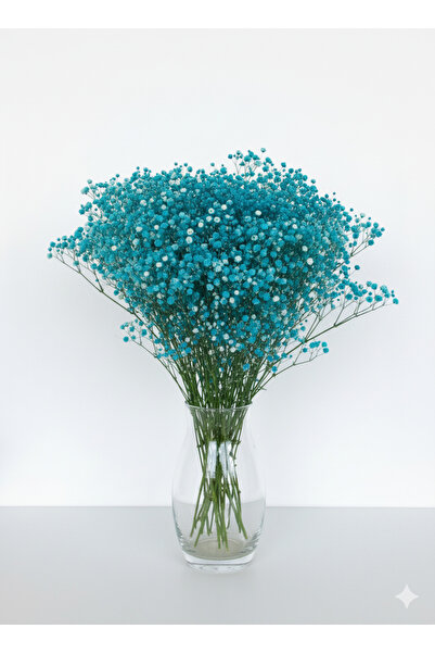 Esse Bahçe Şoklu Cipso Mavi