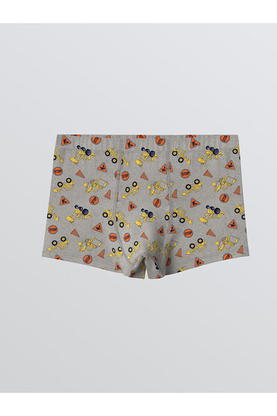 LC Waikiki Boxeri pentru băieți imprimați LCW KİDS 3 piese (W5)