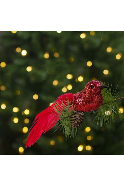 Family Christmas Decoratiune de Craciun pentru brad - set 2 pasari rosii 150 x 35 x 35 mm