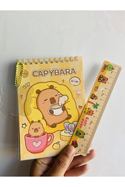 synshop Capybara Sticker Decal 24 Sheets 300Pcs Waterproof+Opaque 10 Sheets Ruler Keychain Notepad