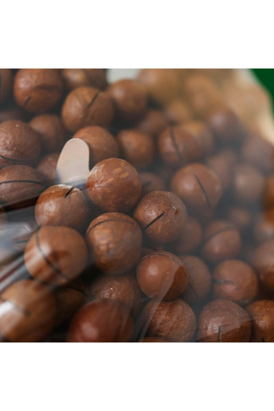 Palmiye Gurme Makademya Fındığı Kabuklu (500gr)